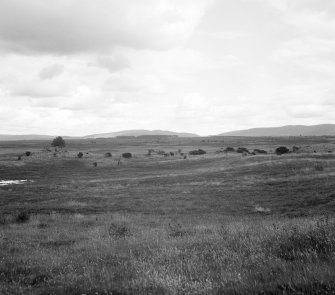 Cairns on Essich Moor, general view.