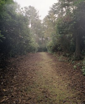 Former curling pond. View from E