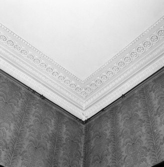 Interior. Detail of drawing room cornice