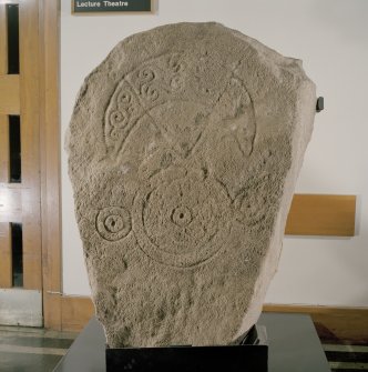 General view of Cairnton Pictish stone bearing a crescent and V-rod above a triple-disc symbol.
