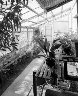 Interior view of green house from E