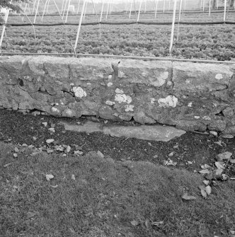 The upper surface of the orthostat in the south wall of the churchyard from the north