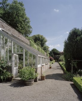 View of N wall greenhouse from  WSW