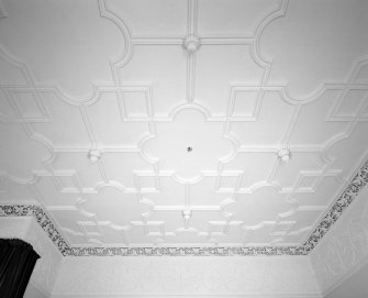 Interior. Detail of ceiling