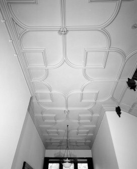 Interior. Detail of ceiling