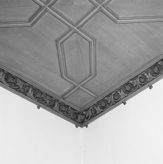 Interior. Detail of cornice