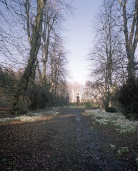 View from SSE showing the gatepiers terminating the avenue