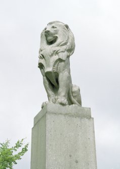 Detail of lion