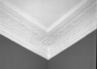 Interior, detail of drawing room cornice
