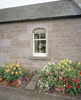 Detail of window