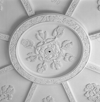 Interior. Octagonal library detail of plaster ceiling with thistles and roses