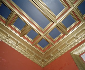 Interior. Drawing room, detail of ceiling