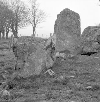 The kerbstones on the SE of the expanded cairn viewed from the interior