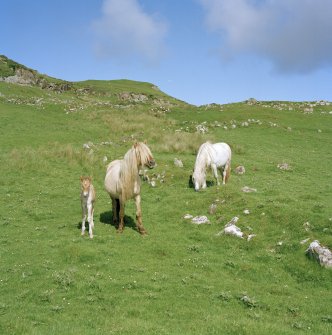 Muck, Sean Bhaile. Township. View looking NW from SE enclosure (centred NM 4206 7956).