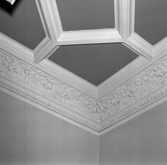 Interior. Detail of plasterwork