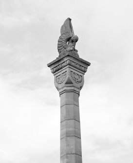 Detail from S showing upper shaft of column surmounted by pelican symbolizing sacrifice