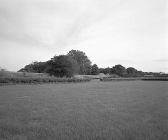 View of walled garden