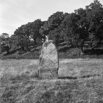 Dounie, Standing Stone.