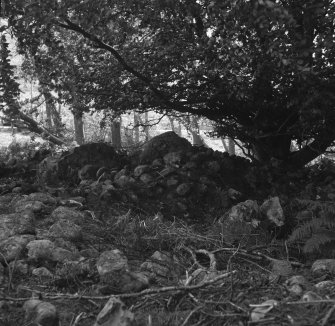 Ardvannie Chambered Cairn.