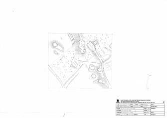 RCAHMS survey drawing: Tulloch Field, Enochdhu site plan 1:1000