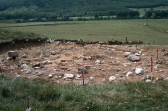 Tulloch Field Site B 1982, end of excavation.  0.5m ranging pole divisions.