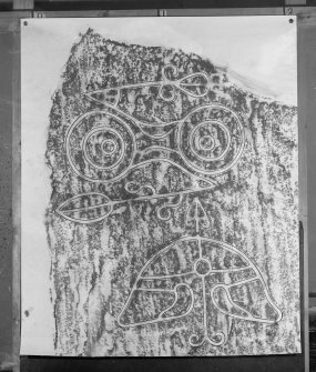 Photographic copy of rubbing showing detail of Congash no.2 Pictish symbol stone, Parc-an-caipel, Congash.