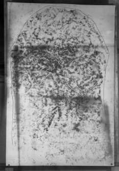 Photographic copy of rubbing showing detail of Kintradwell no.3 Pictish symbol stone, originally found on Kintradwell beach, now at Dunrobin Castle Museum.