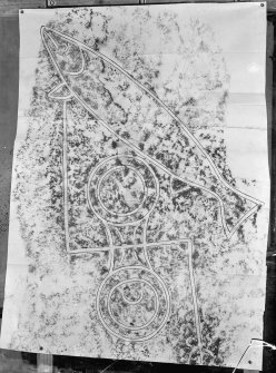 Photographic copy of rubbing showing detail of the face of Clach Biorach Pictish symbol stone, Edderton.