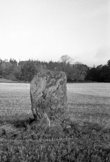 The Danes Stone from the south.