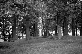 Machany Fort; general view (blurred).