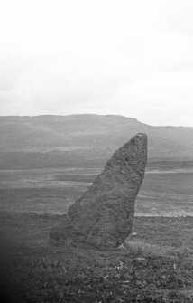 Dunrachan (C) III, standing stone.