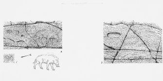 Publication drawing of rock carvings, including the foot-prints, 'King Fergus', the boar, the ogham, and an unidentified quadruped. Photographic copy.