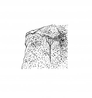 Publication drawing; 'fir tree' incised design on capstone, Carn Ban, Cairnbaan. Photographic copy.