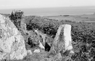 Gort na h-Ulaidhe Chambered Cairn. 1st tranverse cist, portal and stone opposite.