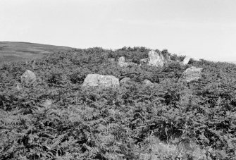 Gort na h-Ulaidhe Chambered Cairn. 2nd transverse cist from W.