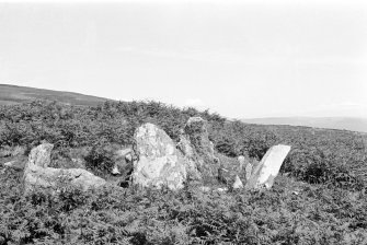 Gort na h-Ulaidhe Chambered Cairn. 1st transverse cist from N.