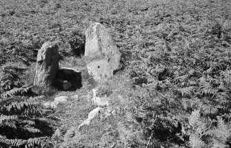 Gort na h-Ulaidhe Chambered Cairn. 3rd transverse cist from S.