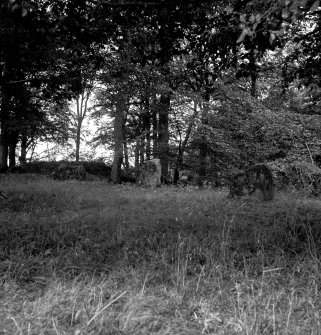 Kinsteary, cairn and north end of alignment.