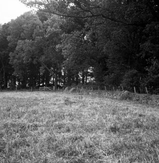 Kinsteary, cairn and north end of alignment.