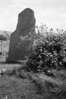 Macbeth's Stone. View of standing stone from WNW