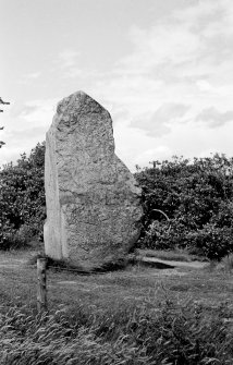 Macbeth's Stone. View of standing stone from W.