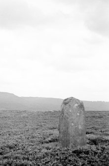 Dunruchan Stone (E) V NN 7898 1682