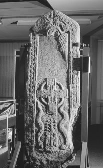 View of reverse of Farnel cross slab in Montrose Museum.