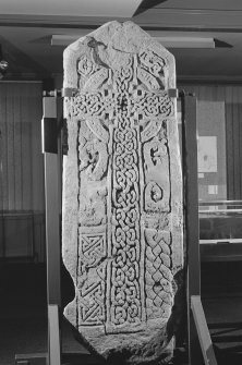 View of face of Farnell cross slab in Montrose Museum.
