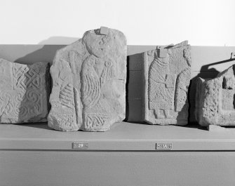 View of reverse of Meigle No 29 and 14, Pictish symbol stones on display in Meigle Museum.