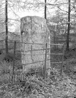 View of face of Thornton Pictish cross slab, Hunters Hill.