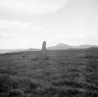 Barr Leatham, Mull, standing stone.