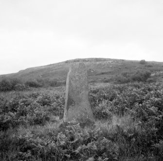 Standing stone, Lower Stillaig.