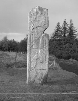 View of reverse of Maiden Stone Pictish cross slab.