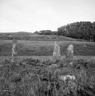 Standing stones, Glengorm Castle.